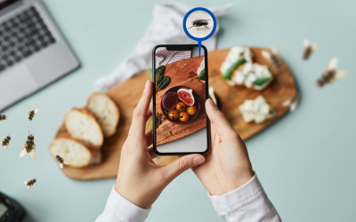 Tidak Jadi Upload Makanan di Sosmed Gara-Gara di Foto Ada Lalat yang Hinggap