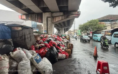 Bukan Cuma Bau Busuk! Krisis Sampah di Tangsel Menghasilkan “Utusan Maut” Datang ke Pemukiman Manusia – Ketiga Bikin Kamu Gak Bisa Tidur Nyenyak!