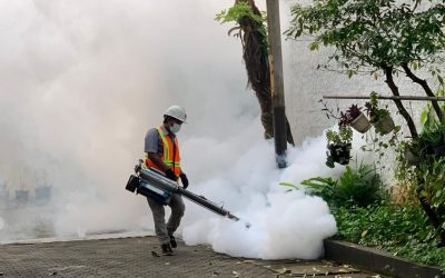 Cegah Nyamuk di Tengah Cuaca Ekstrem
