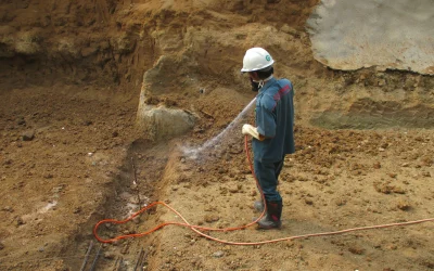 Basmi Hama untuk Hunian Lebih Nyaman