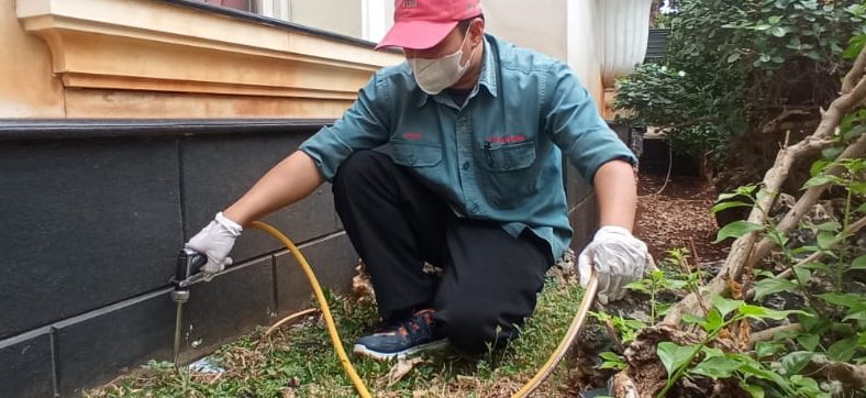 Anti Rayap Oleh Ahli Profesional di Perumahan PIK