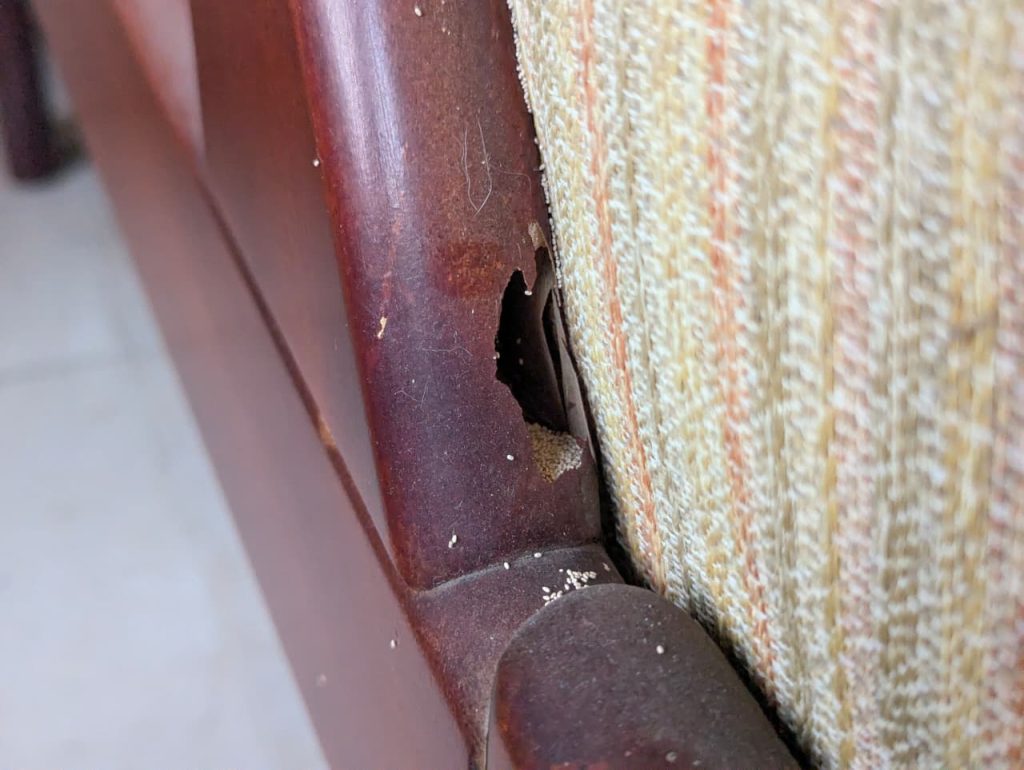 Kayu kopong akibat rayap