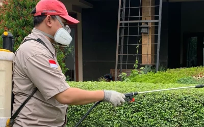 Pest Manajemen untuk Rumah Tangga