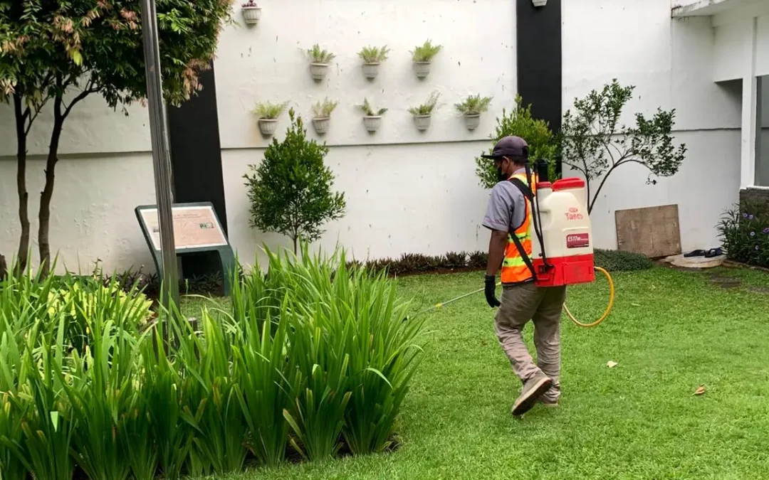 spraying pestisida eco-friendly