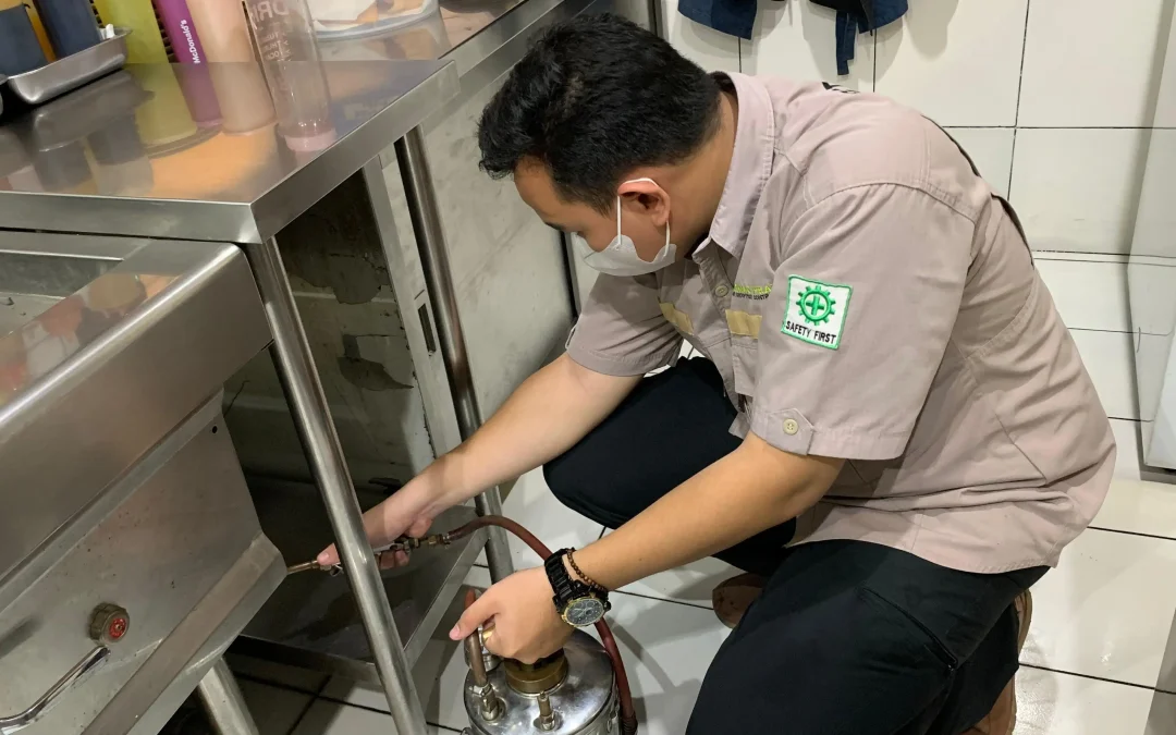 pest control di dapur restoran
