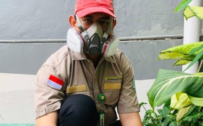Manfaat Jangka Panjang Jasa Pest Control