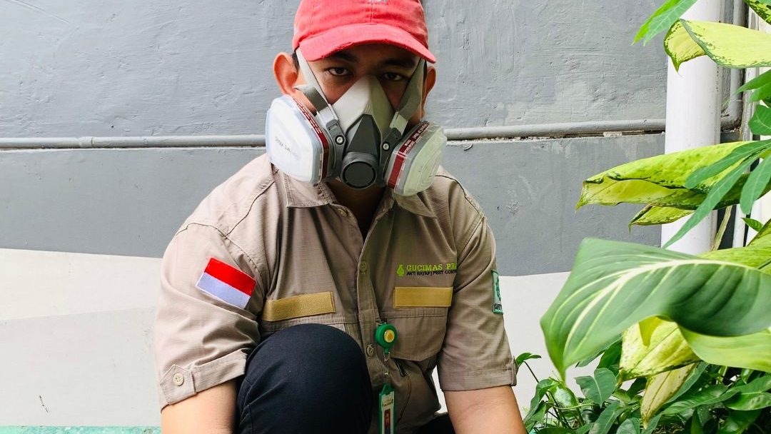 pest control profesional