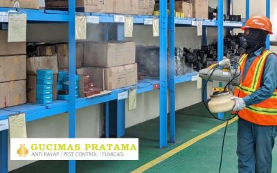 3 Risiko Hama Penghambat Operasional Bisnis