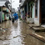 serangan hama berbisa di tengah pemukiman warga