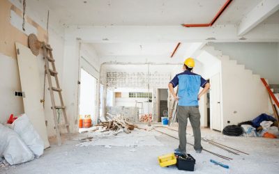 Cegah Rayap Sebelum Renovasi Rumah