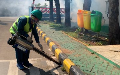 Hama Ngumpul Waktu Ditinggal Liburan?