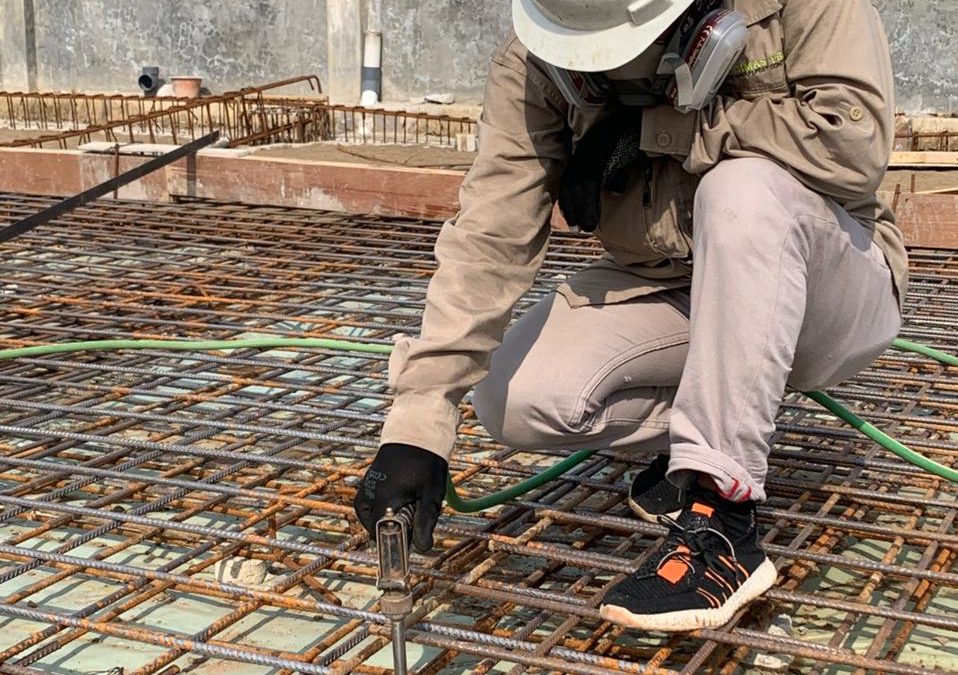 ternyata rayap bisa menyelinap juga pada beton