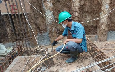 Renovasi Selesai, Rayap Malah Datang Lagi?