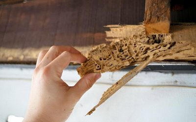 DIY vs Jasa Profesional, Mana yang Worth It?