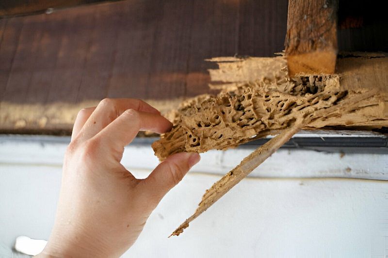 diy vs profesional mana yang lebih worth it?