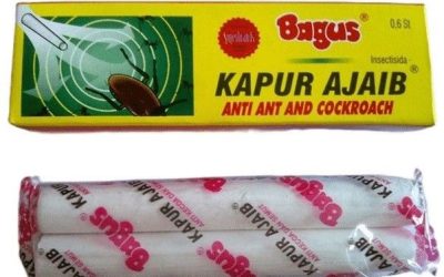 Mitos Kapur Ajaib Terbukti Usir Serangga