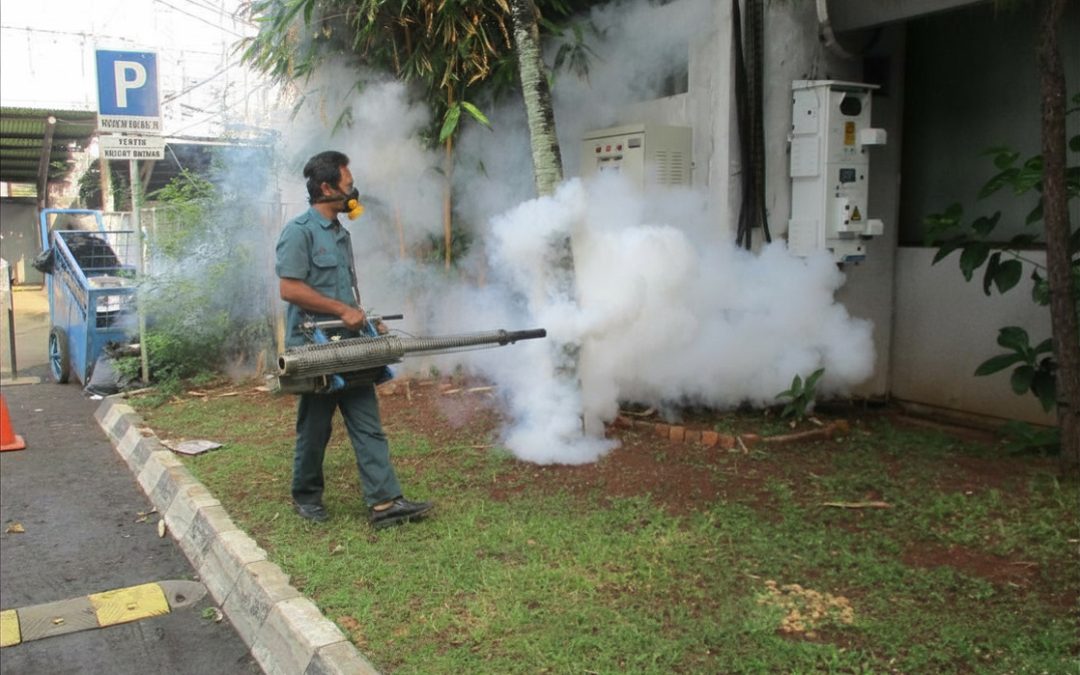Fogging untuk basmi nyamuk dll