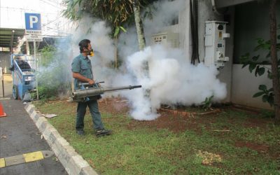 Nyamuk di Rumah Banyak? Fogging Jadi Solusi