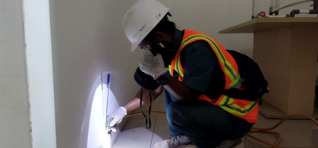 Termite Control