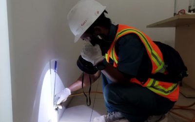 Apa Itu Termite Control?
