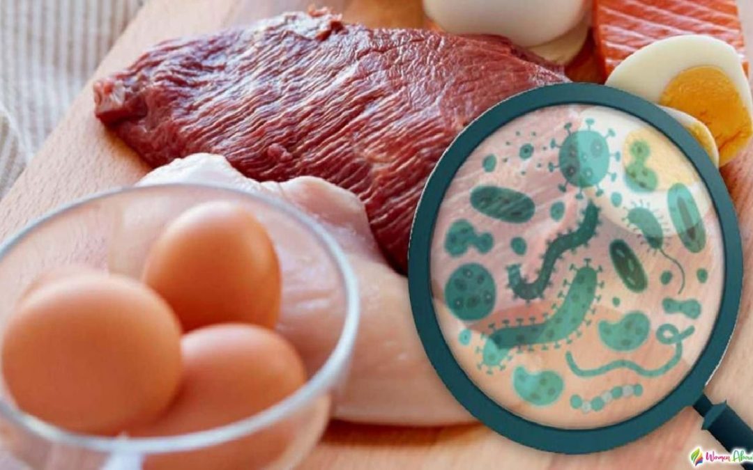 bakteri salmonella dan e.coli