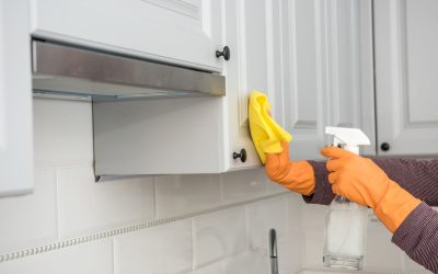 Kebersihan Dapur Sangatlah Penting, Kenapa?