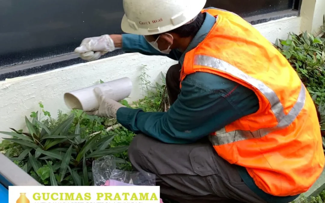 pest management dan pest control
